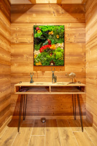 Maisons chalets GICO Gérardmer -Gamme Montagne 2023 018